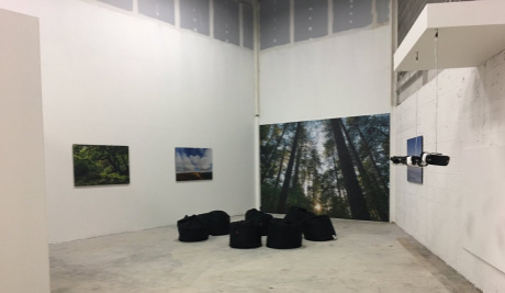 A photograph of four printed images exhibited on white walls of an empty room. 