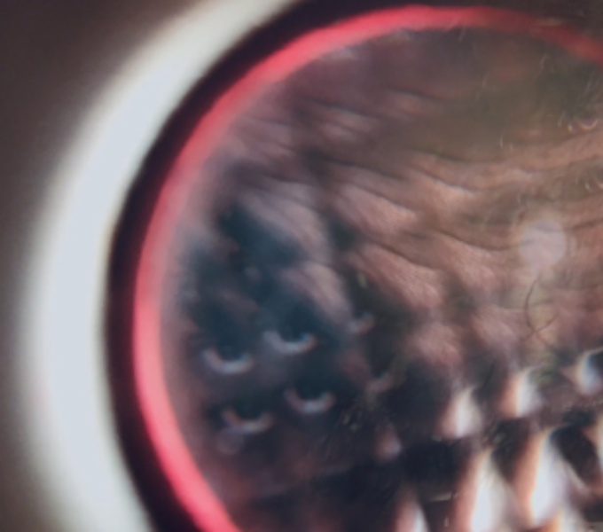 Ashok peers through a circular pane of textured glass that distorts his face.
