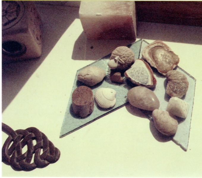 A collection of collected articles are displayed on a table including stones, shells, seed pods.