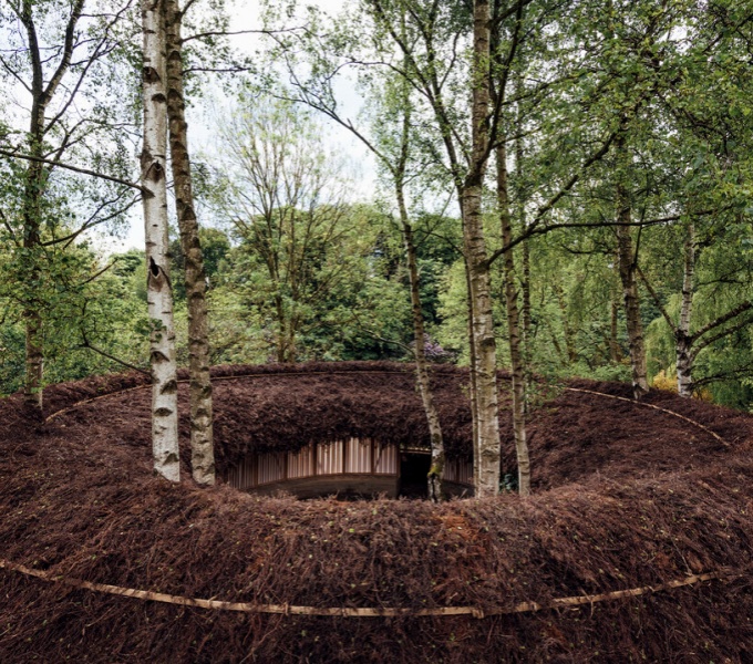 A circular, ring shaped building with a stick roof, set in woodland. Silver Birch trees emerge from the centre. In the distance the green tree canopy of the woodland.