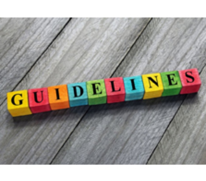 A grey wooden table with several lettered cubes that spell out the word; guidelines. The cubes are coloured yellow pink, blue and green.