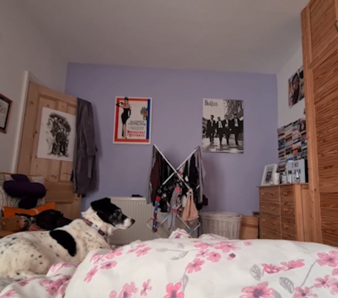 The view of a bedroom from the viewpoint of someone lying in bed. A dog sits on the pink and white floral duvet, washing hangs on a floor standing airer, furniture and posters surround the bed.