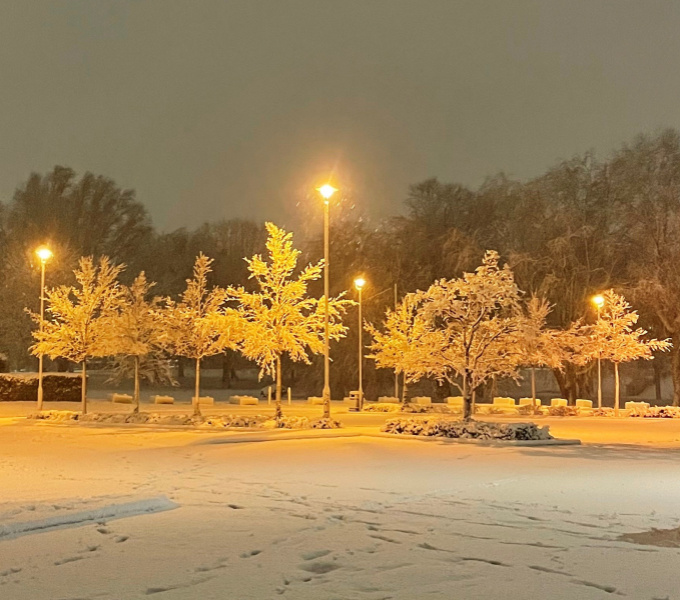 A floodlit, snow covered carpark with young trees.