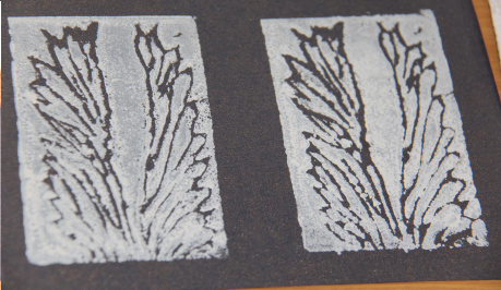 two white prints on a grey card background, showing two leaf like structures spreading out from the centre to the edge of the white print.