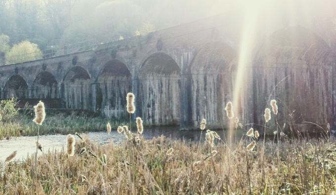 A view looking across a pool towards an old viaduct. On the foreground are Bull Rushes and from the right hand corner a bright ray of spring sunshine illuminates the scene.