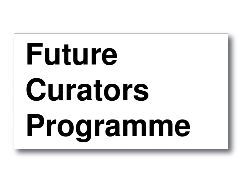 Future Curators Programme in bold black text on a white background.