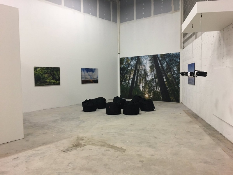 An Image showing the exhibition space displaying the work of Antonia Atwood and Danial Regan
