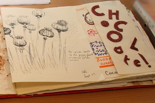 Close up of Artist's sketchbook.  Showing ink drawing of poppy heads and seeds and the word Chocolate collaged on the page.  Photograh by Paula Dower copyright DASh