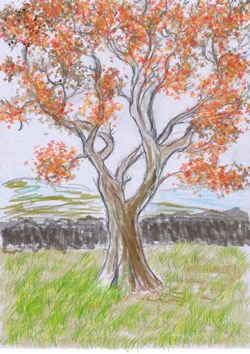 Photoshop Workshop November 9th and 10th 2011 - Image by Teresa Wood.  Teresa used layers and different brush techniques to create this autumnal tree. Copyright Teresa Wood.